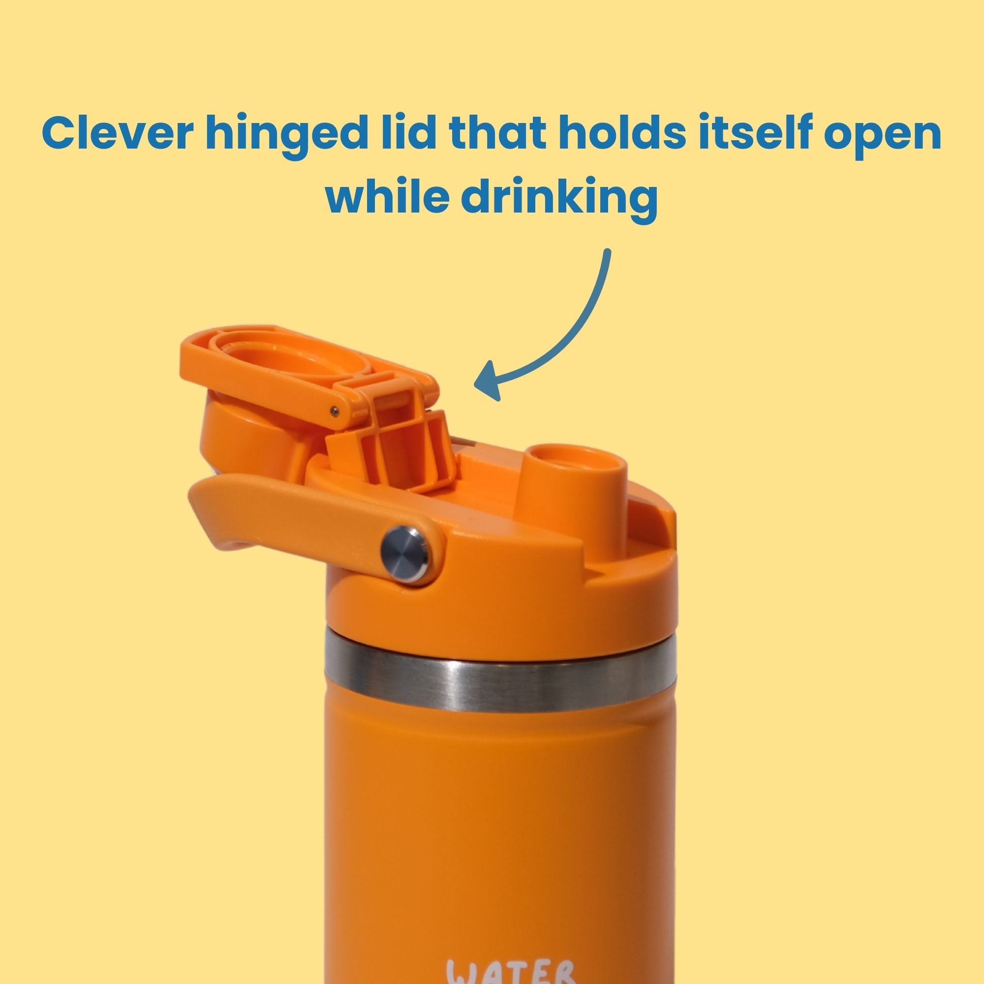 Water You Up To Wavez Bottle - 18oz.